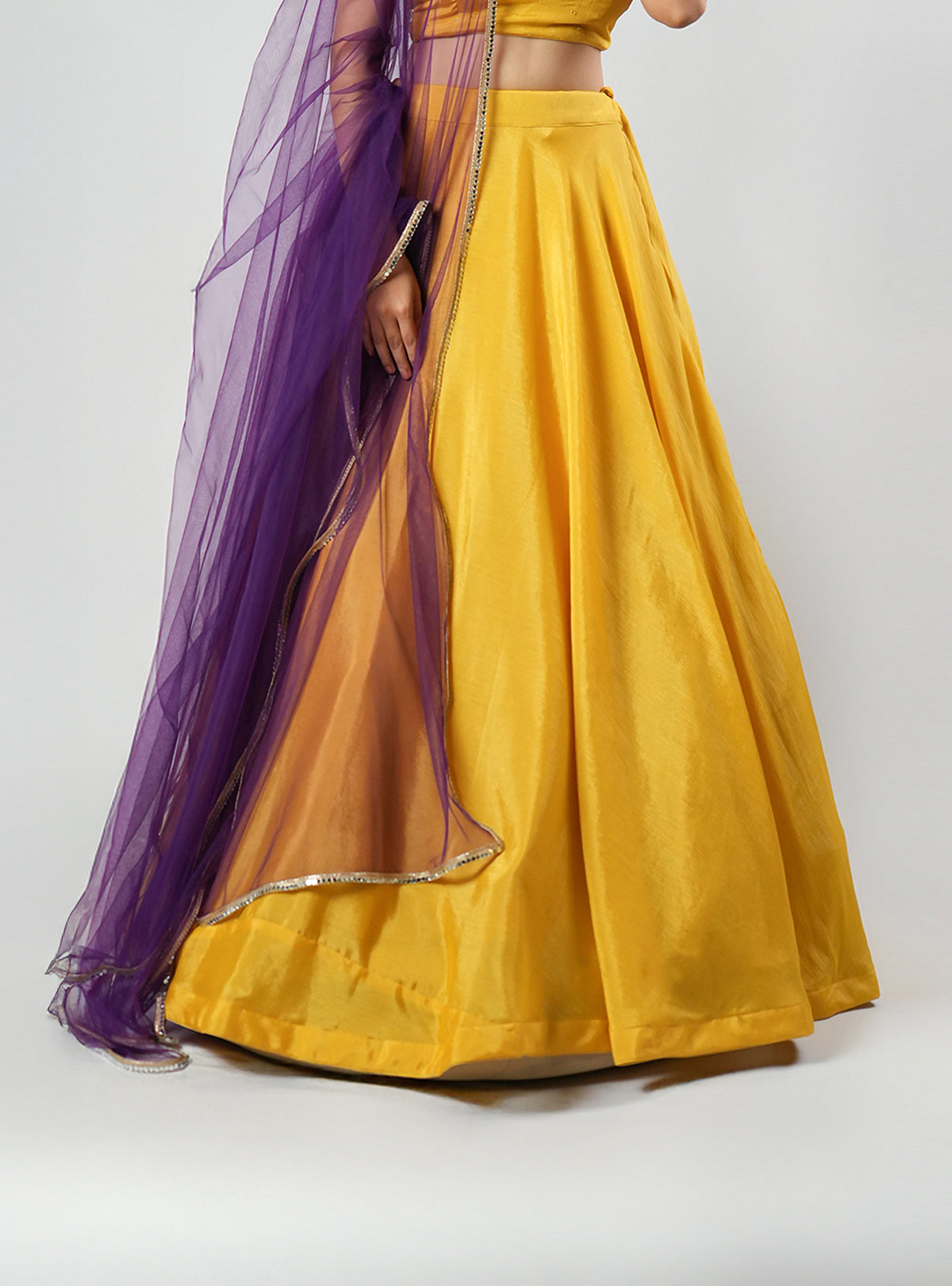 Mastani - Purple Net Dupatta